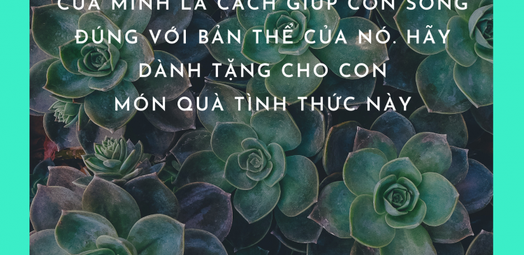 CHA MẸ YÊU CON TỈNH THỨC